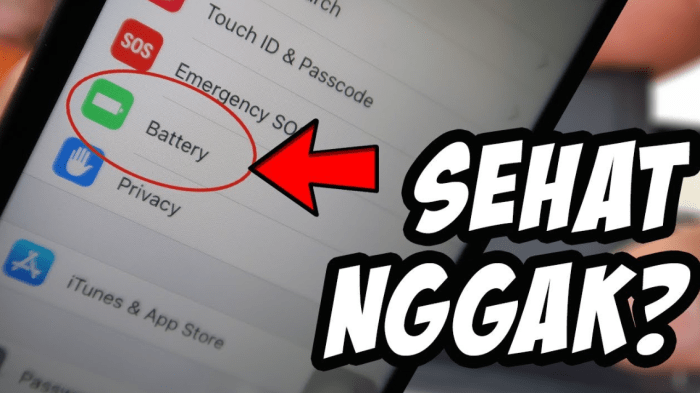Tips Mengetahui Kesehatan Baterai iPhone yang Penting
